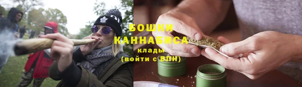 МДПВ Лиски