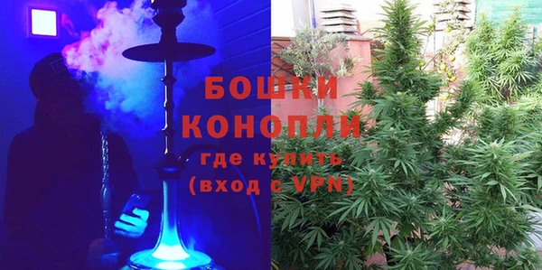 шишки Лихославль