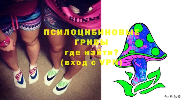 МДПВ Лиски