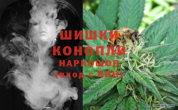 МДПВ Лиски