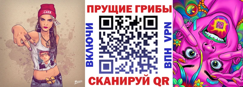 Псилоцибиновые грибы GOLDEN TEACHER Туапсе