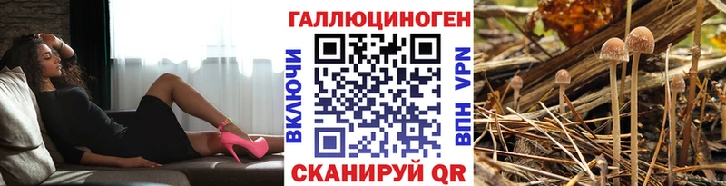 цены наркотик Туапсе Галлюциногенные грибы Magic Shrooms